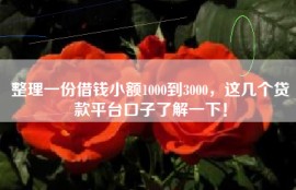 整理一份借钱小额1000到3000，这几个贷款平台口子了解一下！