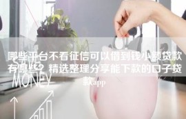 哪些平台不看征信可以借到钱小额贷款有哪些？精选整理分享能下款的口子贷款app