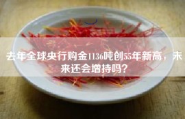 去年全球央行购金1136吨创55年新高，未来还会增持吗？