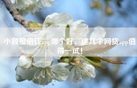 小额度借钱app哪个好，这几个网贷app值得一试！
