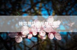 纯信用贷款是啥意思？