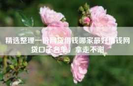 精选整理一份网贷借钱哪家最好借钱网贷口子名单，拿走不谢