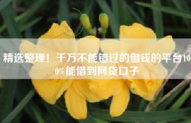 精选整理！千万不能错过的借钱的平台100%能借到网贷口子