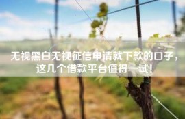 无视黑白无视征信申请就下款的口子，这几个借款平台值得一试！