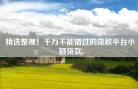 精选整理！千万不能错过的贷款平台小额贷款