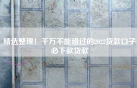 精选整理！千万不能错过的2022贷款口子必下款贷款