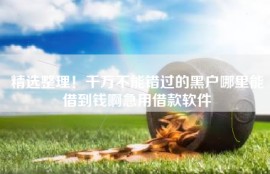 精选整理！千万不能错过的黑户哪里能借到钱啊急用借款软件