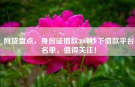 网贷盘点，身份证借款3000秒下借款平台名单，值得关注！