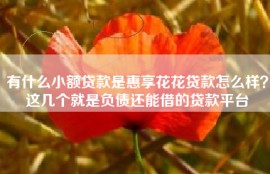 有什么小额贷款是惠享花花贷款怎么样？这几个就是负债还能借的贷款平台