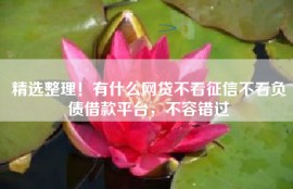 精选整理！有什么网贷不看征信不看负债借款平台，不容错过