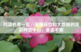 网贷名单一览，无视征信和大数据的贷款网贷平台，拿走不谢
