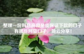 整理一份利息高但是能保证下款的口子有哪些网贷口子，简云分享！
