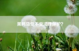 黑网贷受不受法律保护？