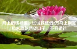 网上借钱被拒，试试这些借2万马上到账私人放款网贷口子，不容错过