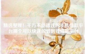 精选整理！千万不能错过的手机借款平台哪个可以快速的借到钱借款平台
