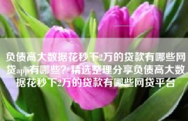 负债高大数据花秒下2万的贷款有哪些网贷app有哪些？精选整理分享负债高大数据花秒下2万的贷款有哪些网贷平台