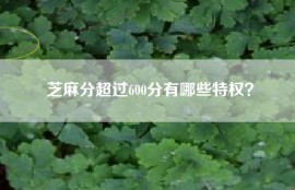 芝麻分超过600分有哪些特权？