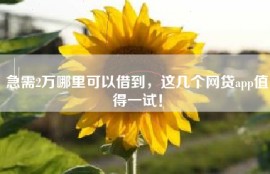 急需2万哪里可以借到，这几个网贷app值得一试！