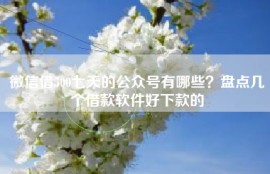 微信借500七天的公众号有哪些？盘点几个借款软件好下款的