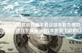 有什么借款软件是不看征信不看负债的贷款？这几个就是2022万年拒能下款的口子