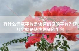 有什么借款平台是快速借贷的平台？这几个就是快速借贷的平台