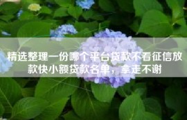 精选整理一份哪个平台贷款不看征信放款快小额贷款名单，拿走不谢