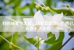 扫码抽奖中大奖，竟是套路贷！广西已有数十人中招
