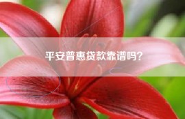 平安普惠贷款靠谱吗？