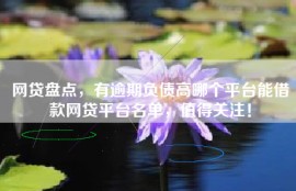 网贷盘点，有逾期负债高哪个平台能借款网贷平台名单，值得关注！