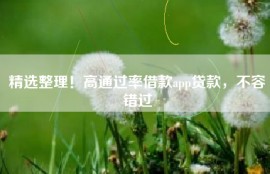 精选整理！高通过率借款app贷款，不容错过