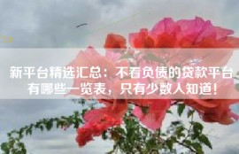 新平台精选汇总：不看负债的贷款平台有哪些一览表，只有少数人知道！
