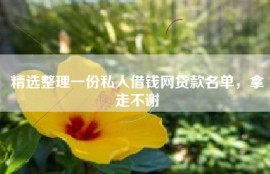 精选整理一份私人借钱网贷款名单，拿走不谢