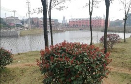 有哪些两个人在家可以玩的好游戏值得推荐？