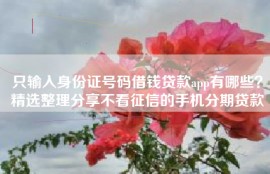 只输入身份证号码借钱贷款app有哪些？精选整理分享不看征信的手机分期贷款
