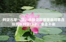 网贷名单一览，小额贷款哪里最可靠直接到账网贷口子，拿走不谢