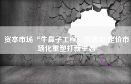 资本市场“牛鼻子工程”将落地 定价市场化重塑打新生态