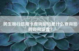 民生银行信用卡查询密码是什么查询密码如何设置？