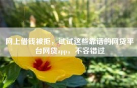 网上借钱被拒，试试这些靠谱的网贷平台网贷app，不容错过