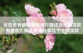 征信差有逾期哪里可以借钱急用啊贷款有哪些？精选整理分享几个小额贷款