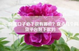 2022贷款口子必下款有哪些？盘点几个网贷平台好下款的