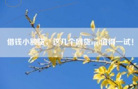 借钱小额贷，这几个网贷app值得一试！