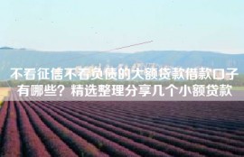 不看征信不看负债的大额贷款借款口子有哪些？精选整理分享几个小额贷款