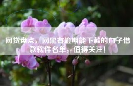 网贷盘点，网黑有逾期能下款的口子借款软件名单，值得关注！