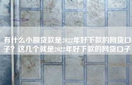 有什么小额贷款是2022年好下款的网贷口子？这几个就是2022年好下款的网贷口子