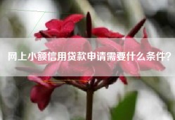 网上小额信用贷款申请需要什么条件？