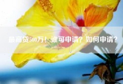 最高贷500万！谁可申请？如何申请？