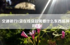 交通银行E贷在线贷款需要什么东西抵押吗 ？