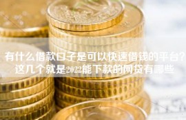 有什么借款口子是可以快速借钱的平台？这几个就是2022能下款的网贷有哪些