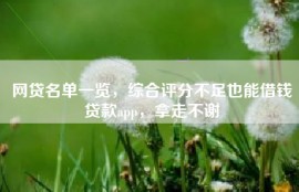网贷名单一览，综合评分不足也能借钱贷款app，拿走不谢