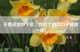 不看征信秒下款，这几个借款口子值得一试！